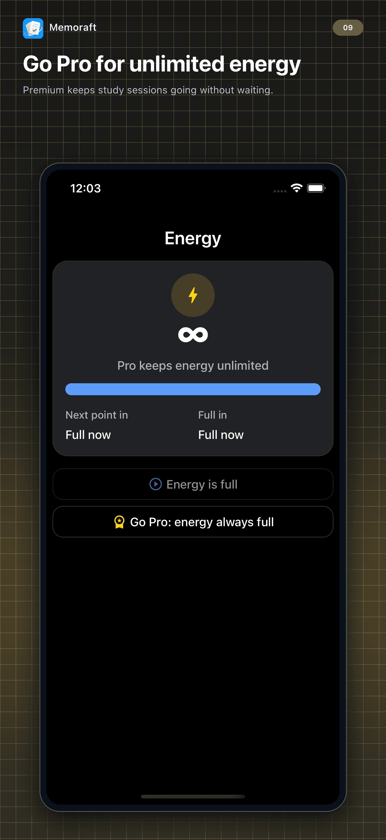 Memoraft Pro